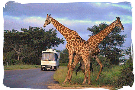 two people having a walk